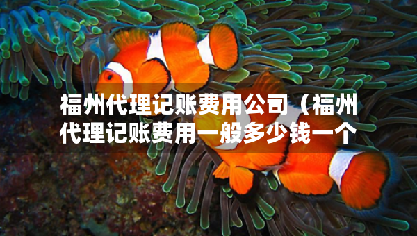 福州代理記賬費(fèi)用公司（福州代理記賬費(fèi)用一般多少錢一個(gè)月）