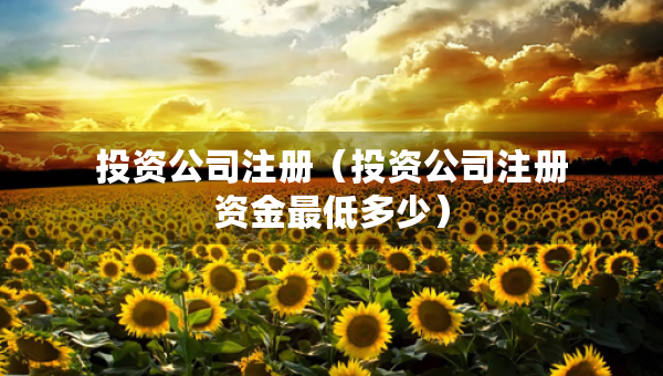 投資公司注冊（投資公司注冊資金最低多少）