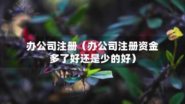 辦公司注冊（辦公司注冊資金多了好還是少的好）
