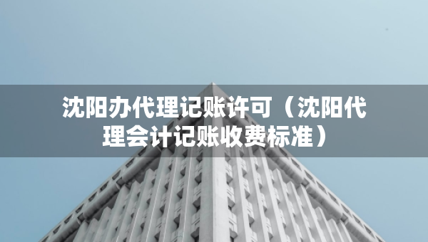 沈陽辦代理記賬許可（沈陽代理會計記賬收費標(biāo)準(zhǔn)）