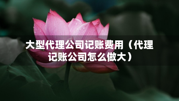 大型代理公司記賬費用（代理記賬公司怎么做大）