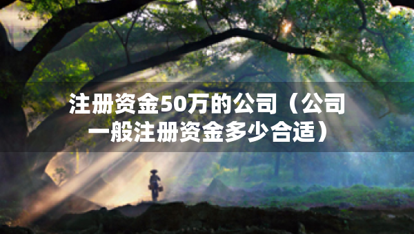 注冊資金50萬的公司（公司一般注冊資金多少合適）