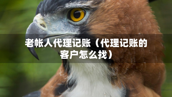 老帳人代理記賬（代理記賬的客戶怎么找）