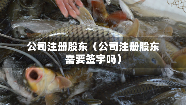 公司注冊股東（公司注冊股東需要簽字嗎）