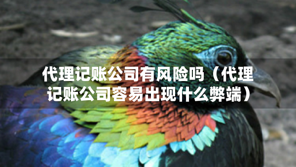 代理記賬公司有風(fēng)險嗎（代理記賬公司容易出現(xiàn)什么弊端）