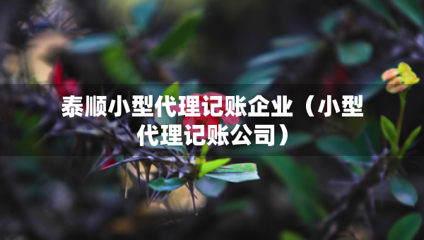泰順小型代理記賬企業(yè)（小型代理記賬公司）