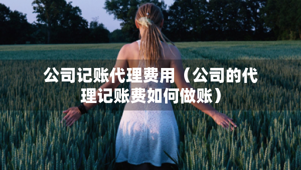公司記賬代理費用（公司的代理記賬費如何做賬）