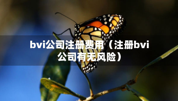 bvi公司注冊(cè)費(fèi)用（注冊(cè)bvi公司有無(wú)風(fēng)險(xiǎn)）