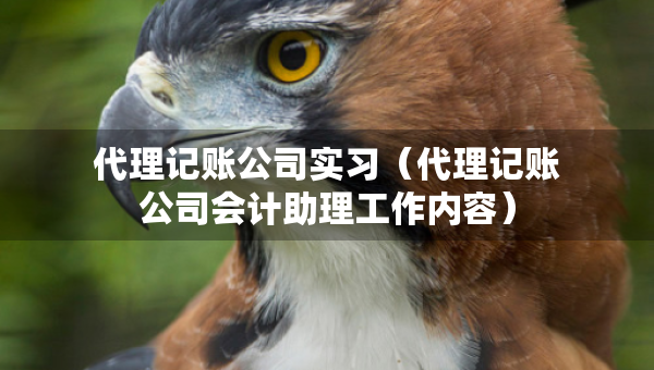 代理記賬公司實(shí)習(xí)（代理記賬公司會(huì)計(jì)助理工作內(nèi)容）