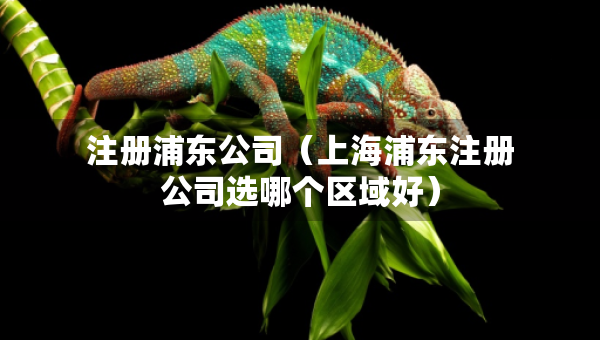 注冊浦東公司（上海浦東注冊公司選哪個區(qū)域好）