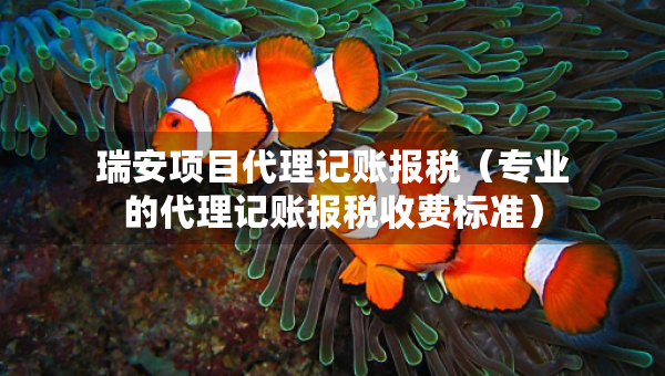 瑞安項(xiàng)目代理記賬報(bào)稅（專業(yè)的代理記賬報(bào)稅收費(fèi)標(biāo)準(zhǔn)）