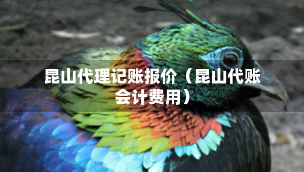 昆山代理記賬報價（昆山代賬會計費(fèi)用）