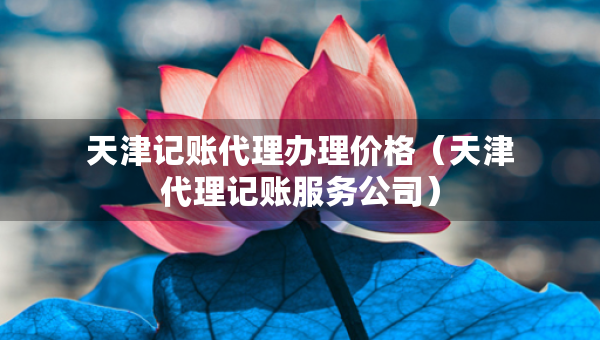 天津記賬代理辦理價(jià)格（天津代理記賬服務(wù)公司）