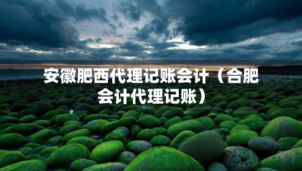 安徽肥西代理記賬會(huì)計(jì)（合肥會(huì)計(jì)代理記賬）