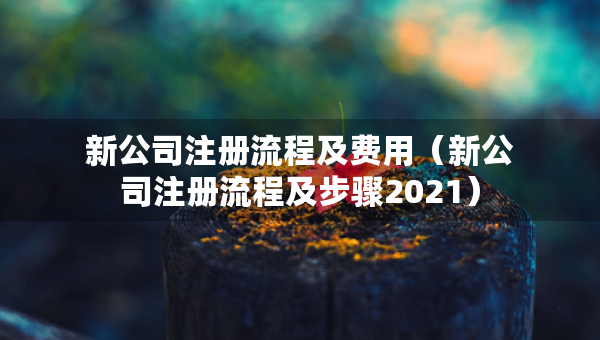 新公司注冊(cè)流程及費(fèi)用（新公司注冊(cè)流程及步驟2021）