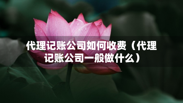 代理記賬公司如何收費（代理記賬公司一般做什么）