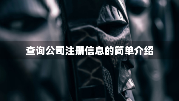 查詢公司注冊信息的簡單介紹