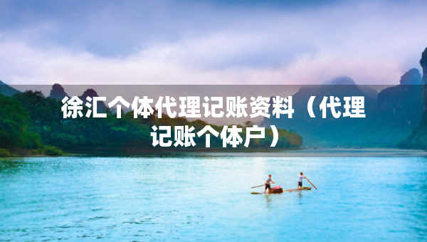 徐匯個(gè)體代理記賬資料（代理記賬個(gè)體戶）