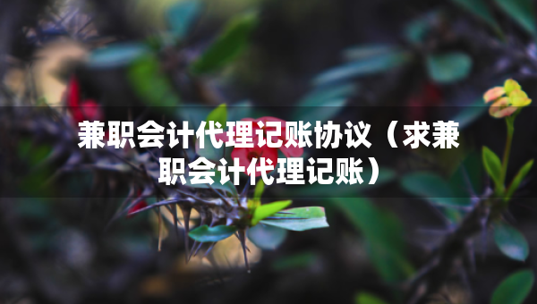 兼職會計代理記賬協(xié)議（求兼職會計代理記賬）