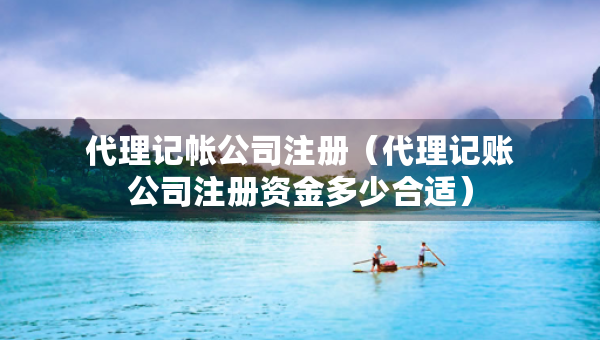 代理記帳公司注冊(cè)（代理記賬公司注冊(cè)資金多少合適）