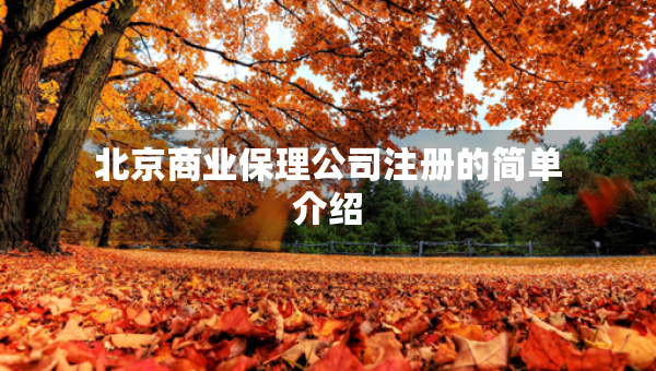 北京商業(yè)保理公司注冊(cè)的簡(jiǎn)單介紹