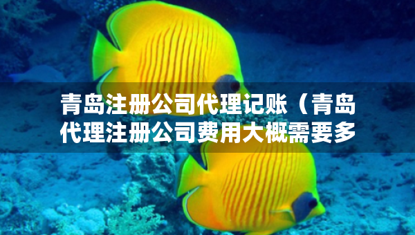 青島注冊(cè)公司代理記賬（青島代理注冊(cè)公司費(fèi)用大概需要多少）