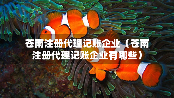 蒼南注冊(cè)代理記賬企業(yè)（蒼南注冊(cè)代理記賬企業(yè)有哪些）