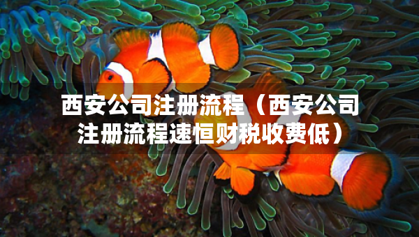 西安公司注冊(cè)流程（西安公司注冊(cè)流程速恒財(cái)稅收費(fèi)低）