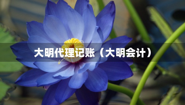 大明代理記賬（大明會計）
