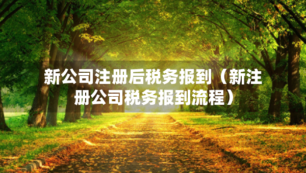 新公司注冊(cè)后稅務(wù)報(bào)到（新注冊(cè)公司稅務(wù)報(bào)到流程）