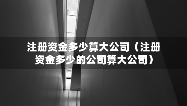 注冊資金多少算大公司（注冊資金多少的公司算大公司）