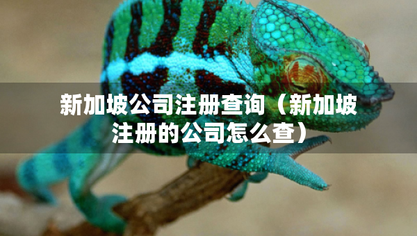 新加坡公司注冊(cè)查詢（新加坡注冊(cè)的公司怎么查）