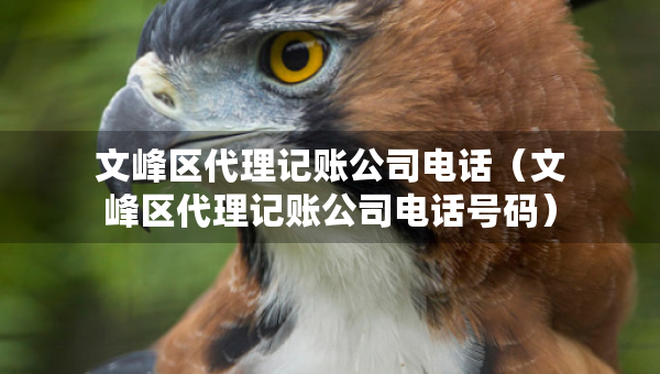 文峰區(qū)代理記賬公司電話（文峰區(qū)代理記賬公司電話號碼）