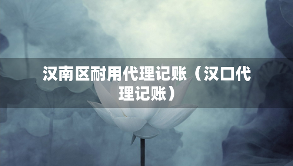 漢南區(qū)耐用代理記賬（漢口代理記賬）