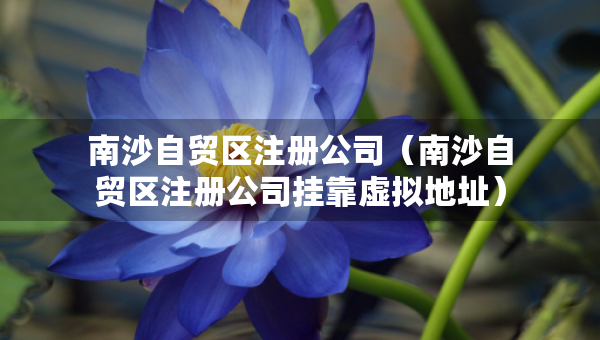 南沙自貿(mào)區(qū)注冊公司（南沙自貿(mào)區(qū)注冊公司掛靠虛擬地址）