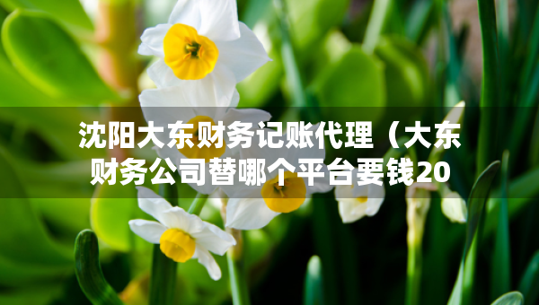 沈陽大東財務記賬代理（大東財務公司替哪個平臺要錢2020年）