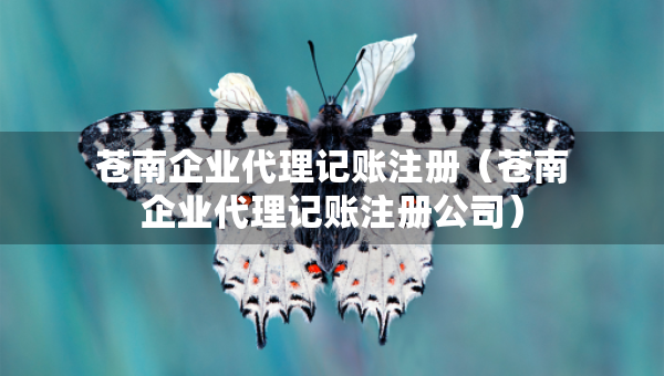 蒼南企業(yè)代理記賬注冊（蒼南企業(yè)代理記賬注冊公司）