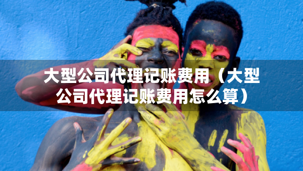 大型公司代理記賬費(fèi)用（大型公司代理記賬費(fèi)用怎么算）