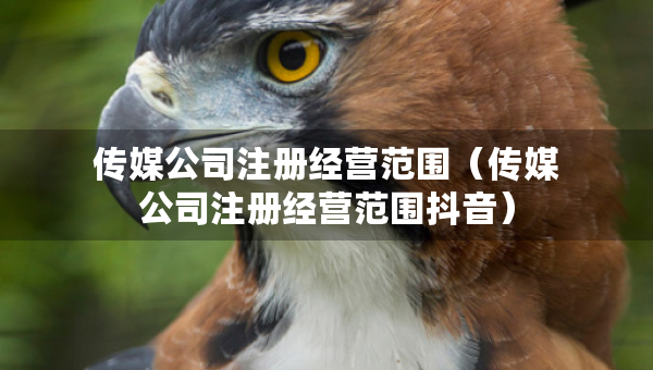 傳媒公司注冊經(jīng)營范圍（傳媒公司注冊經(jīng)營范圍抖音）