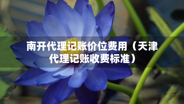 南開代理記賬價位費用（天津代理記賬收費標(biāo)準(zhǔn)）