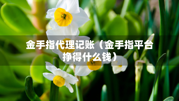 金手指代理記賬（金手指平臺(tái)掙得什么錢(qián)）