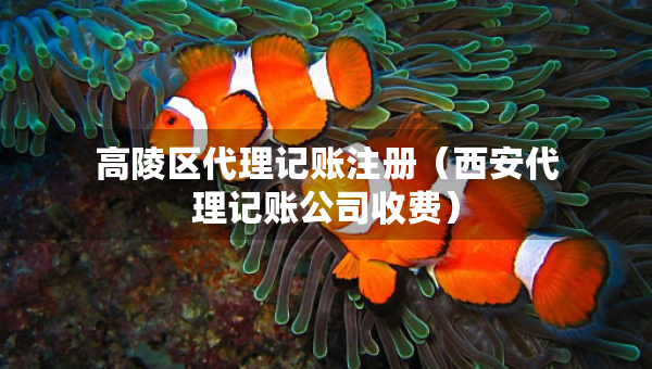 高陵區(qū)代理記賬注冊（西安代理記賬公司收費）