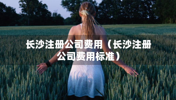 長沙注冊公司費用（長沙注冊公司費用標準）