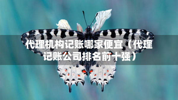代理機構(gòu)記賬哪家便宜（代理記賬公司排名前十強）