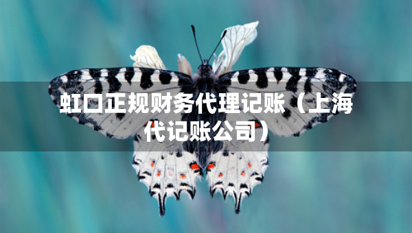 虹口正規(guī)財(cái)務(wù)代理記賬（上海代記賬公司）