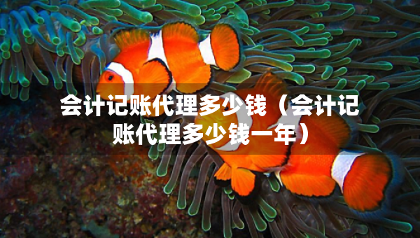 會計記賬代理多少錢（會計記賬代理多少錢一年）