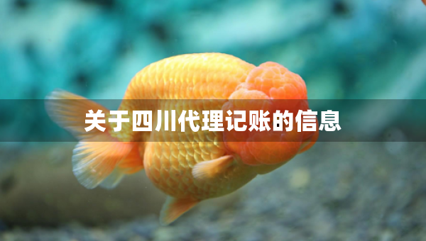 關(guān)于四川代理記賬的信息