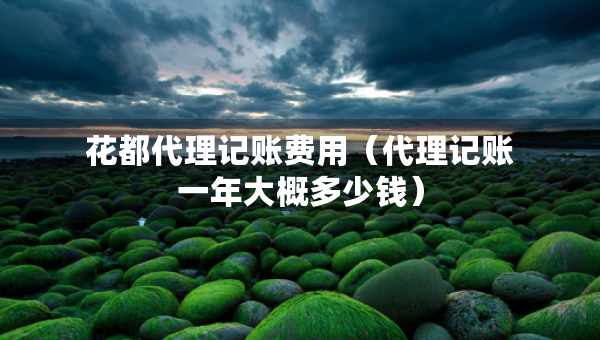 花都代理記賬費用（代理記賬一年大概多少錢）