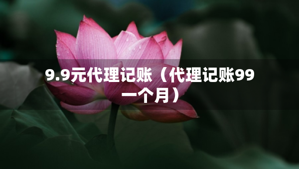 9.9元代理記賬（代理記賬99一個(gè)月）