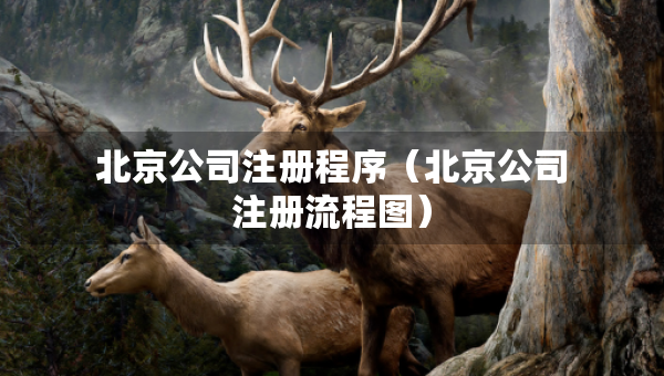 北京公司注冊程序（北京公司注冊流程圖）